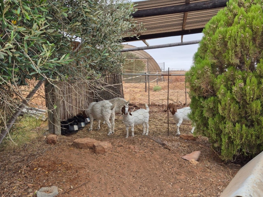4 Bedroom Property for Sale in Vredendal Rural Western Cape